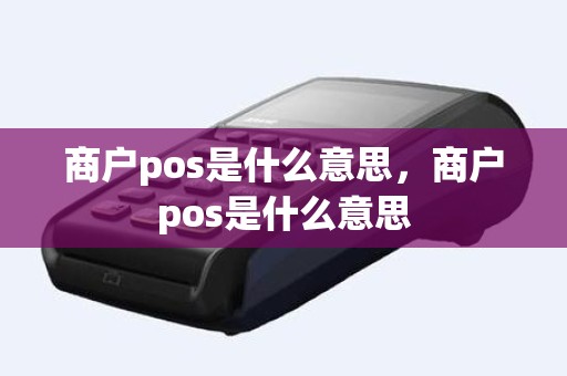 商户pos是什么意思，商户pos是什么意思