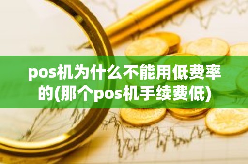 pos机为什么不能用低费率的(那个pos机手续费低)