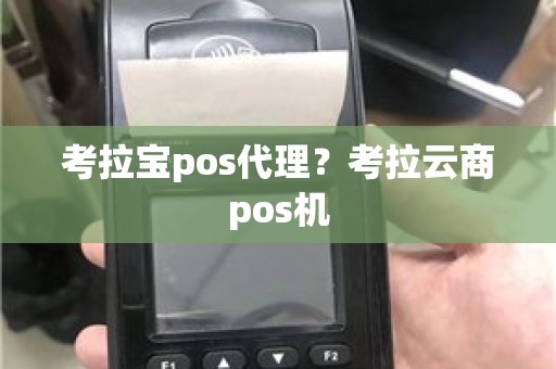 考拉宝pos代理？考拉云商pos机