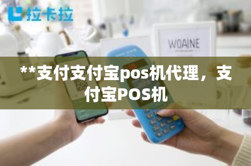 **支付支付宝pos机代理，支付宝POS机