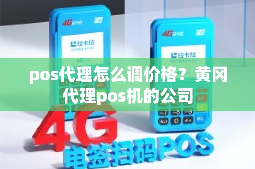 pos代理怎么调价格？黄冈代理pos机的公司