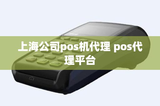 上海公司pos机代理 pos代理平台