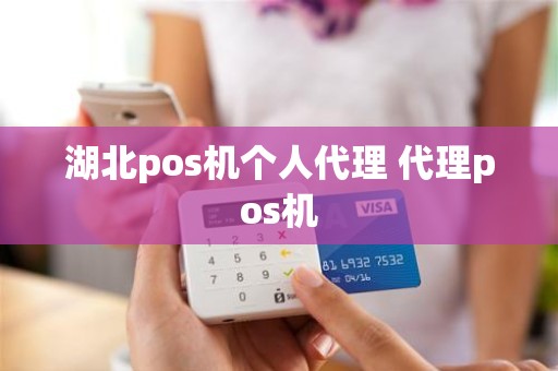 湖北pos机个人代理 代理pos机