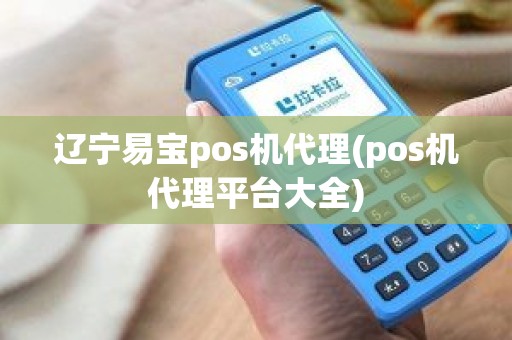 辽宁易宝pos机代理(pos机代理平台大全)