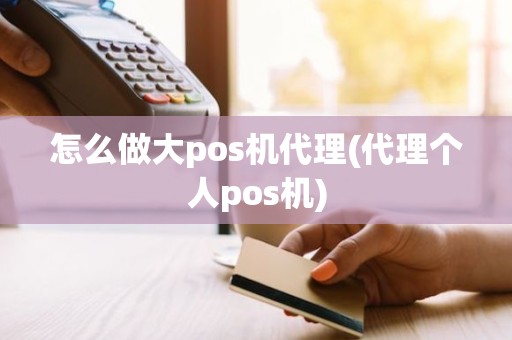 怎么做大pos机代理(代理个人pos机)