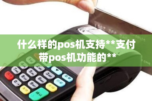 什么样的pos机支持**支付 带pos机功能的**
