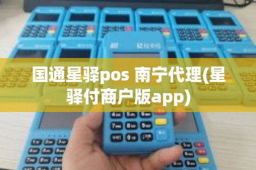国通星驿pos 南宁代理(星驿付商户版app)