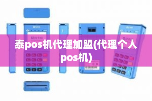 泰pos机代理加盟(代理个人pos机)