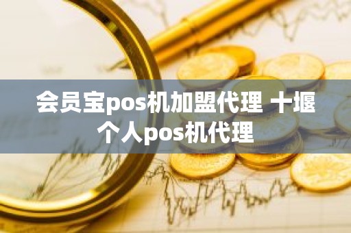 会员宝pos机加盟代理 十堰个人pos机代理