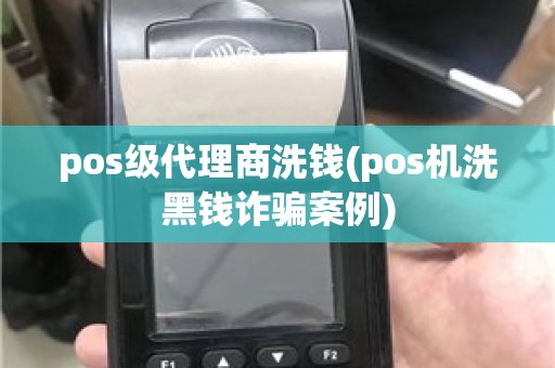 pos级代理商洗钱(pos机洗黑钱诈骗案例)