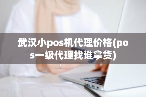 武汉小pos机代理价格(pos一级代理找谁拿货)