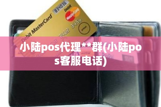 小陆pos代理**群(小陆pos客服电话)