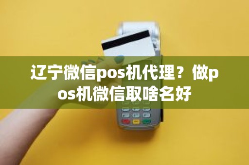 辽宁微信pos机代理？做pos机微信取啥名好