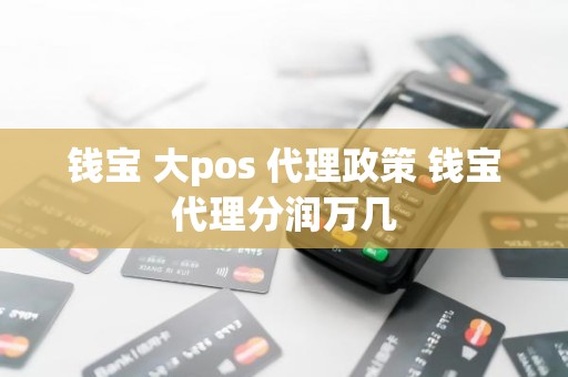 钱宝 大pos 代理政策 钱宝代理分润万几