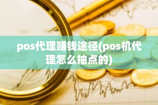 pos代理赚钱途径(pos机代理怎么抽点的)