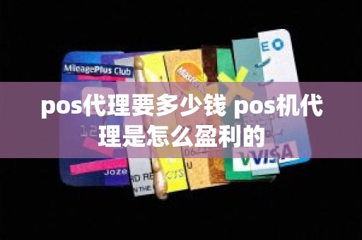 pos代理要多少钱 pos机代理是怎么盈利的