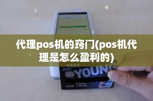 代理pos机的窍门(pos机代理是怎么盈利的)