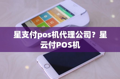 星支付pos机代理公司？星云付POS机