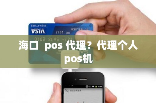 海口  pos 代理？代理个人pos机