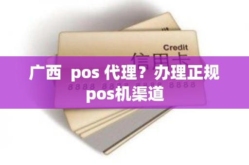 广西  pos 代理？办理正规pos机渠道