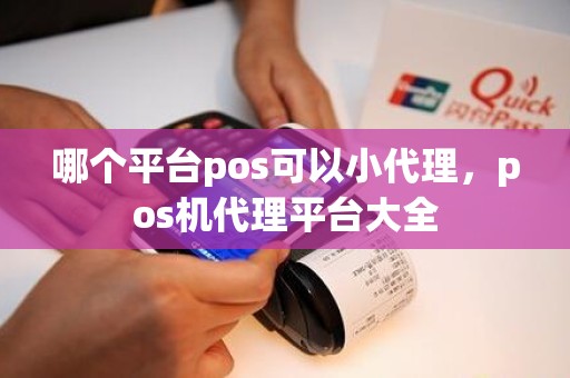 哪个平台pos可以小代理，pos机代理平台大全