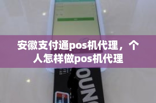 安徽支付通pos机代理，个人怎样做pos机代理
