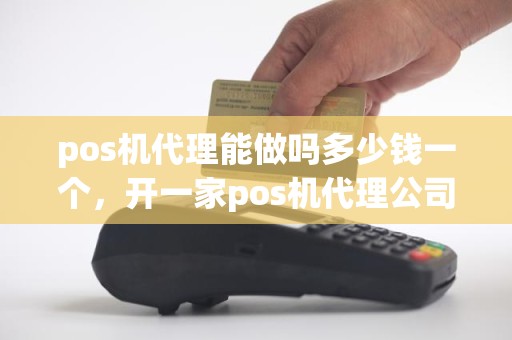 pos机代理能做吗多少钱一个，开一家pos机代理公司