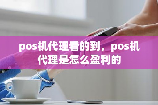 pos机代理看的到，pos机代理是怎么盈利的