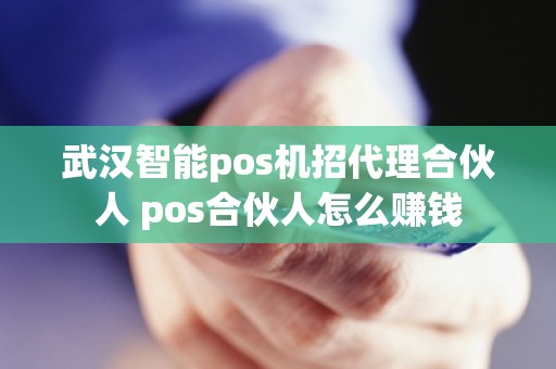 武汉智能pos机招代理合伙人 pos合伙人怎么赚钱