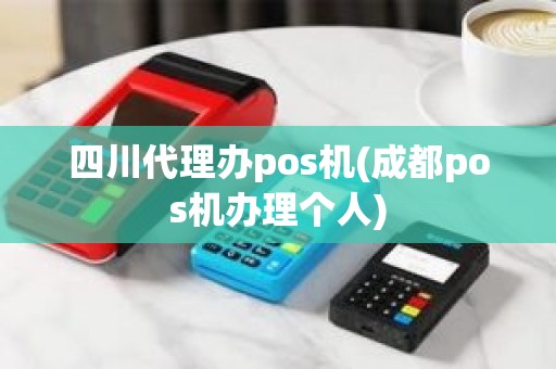 四川代理办pos机(成都pos机办理个人)