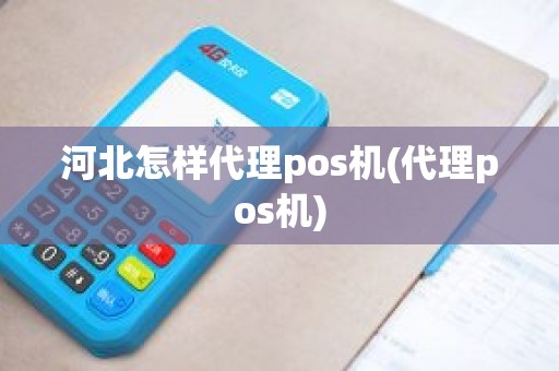 河北怎样代理pos机(代理pos机)