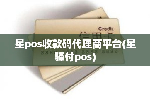 星pos收款码代理商平台(星驿付pos)