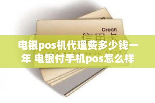 电银pos机代理费多少钱一年 电银付手机pos怎么样 电银pos机代理费多少钱一年 电银付手机pos怎么样