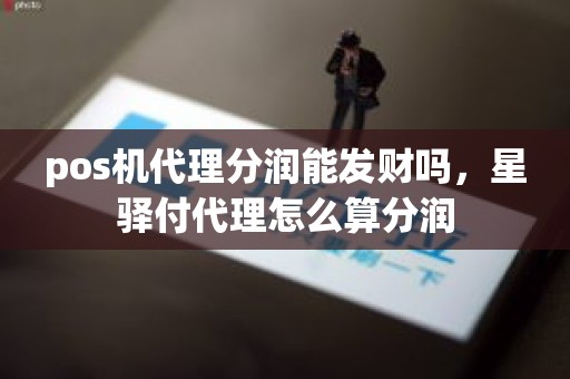 pos机代理分润能发财吗，星驿付代理怎么算分润