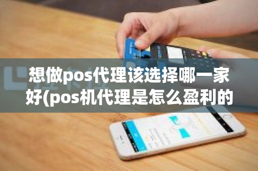 想做pos代理该选择哪一家好(pos机代理是怎么盈利的)