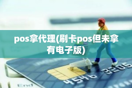 pos拿代理(刷卡pos但未拿有电子版)