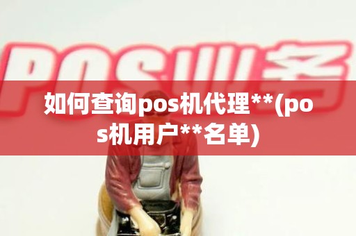 如何查询pos机代理**(pos机用户**名单)