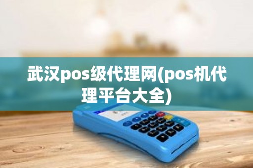 武汉pos级代理网(pos机代理平台大全)