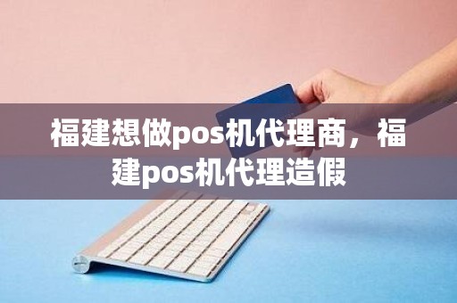 福建想做pos机代理商，福建pos机代理造假