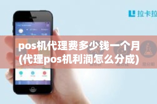 pos机代理费多少钱一个月(代理pos机利润怎么分成) pos机代理费多少钱一个月(代理pos机利润怎么分成)