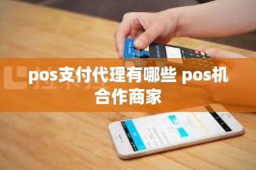 pos支付代理有哪些 pos机合作商家