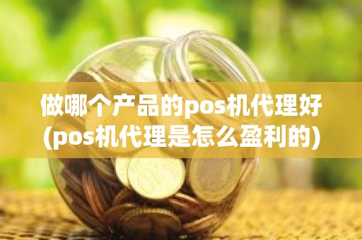 做哪个产品的pos机代理好(pos机代理是怎么盈利的)