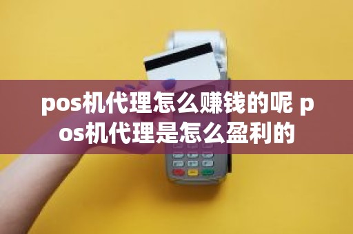 pos机代理怎么赚钱的呢 pos机代理是怎么盈利的 pos机代理怎么赚钱的呢 pos机代理是怎么盈利的