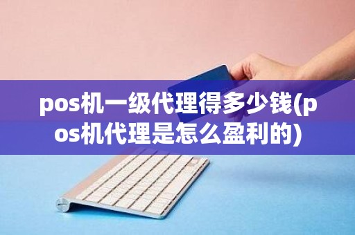 pos机一级代理得多少钱(pos机代理是怎么盈利的)