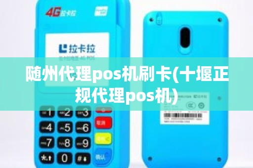 随州代理pos机刷卡(十堰正规代理pos机)
