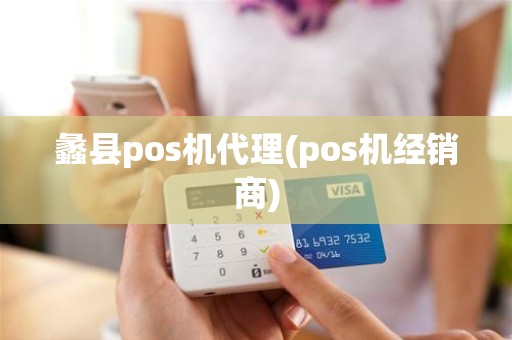 蠡县pos机代理(pos机经销商)