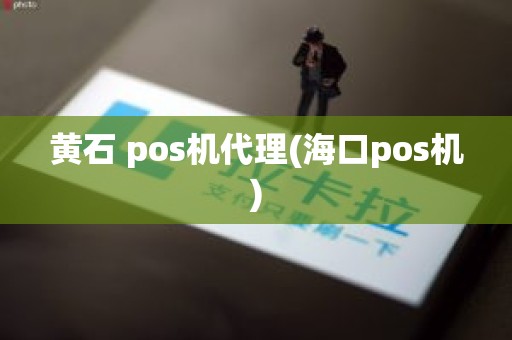 黄石 pos机代理(海口pos机)