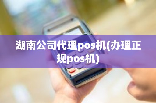 湖南公司代理pos机(办理正规pos机)