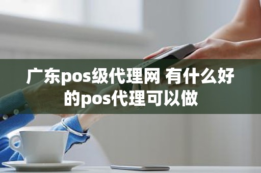 广东pos级代理网 有什么好的pos代理可以做