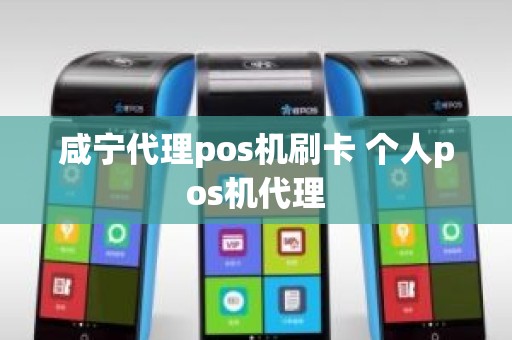 咸宁代理pos机刷卡 个人pos机代理